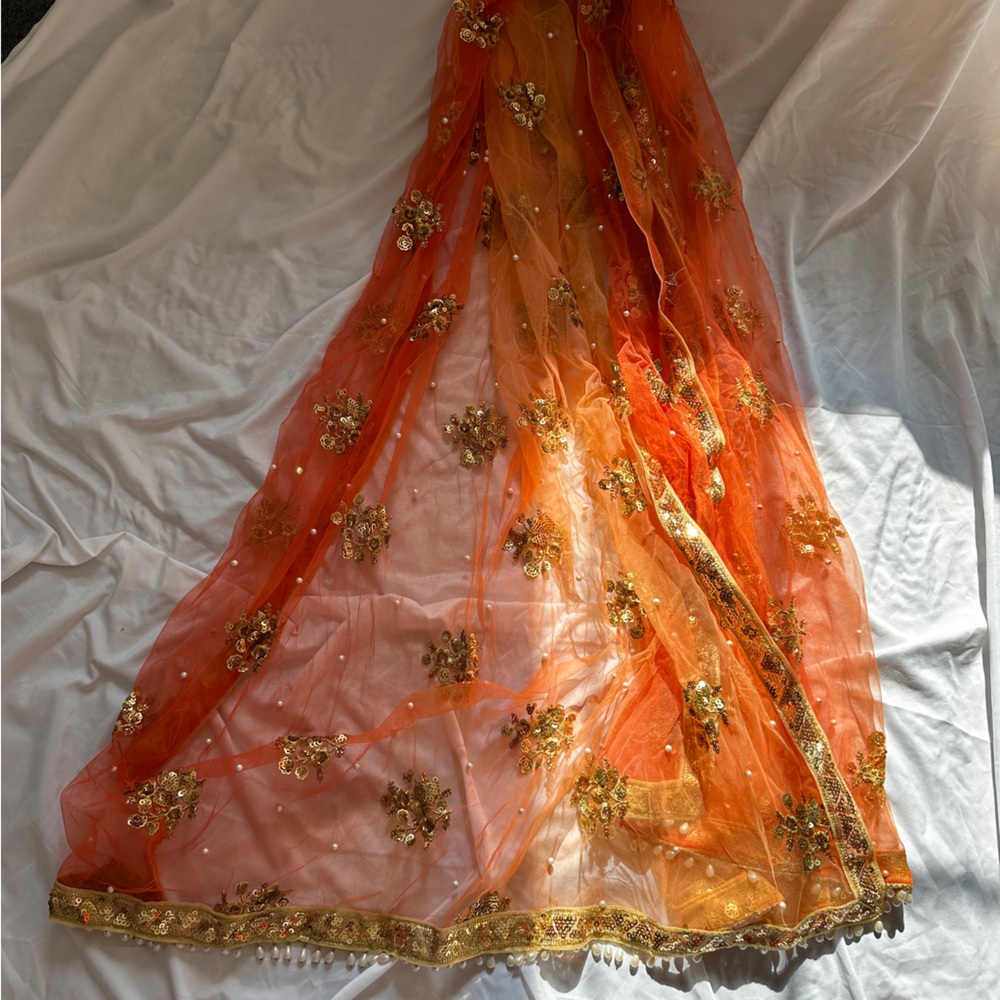 Authentic Designer Sari - Picture 4 of 5